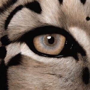 ChⅰeseGαy国产老头
