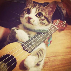 ChⅰeseGαy国产老头
