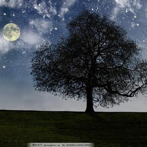 ChⅰeseGαy国产老头
